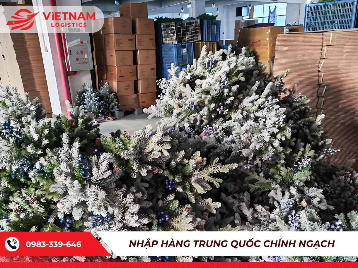 Nguồn nhập cây thông Noel từ Trung Quốc